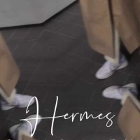 Hermes Evelyne PM Gold Vache & Toile H | Vintage.City 古着屋、古着コーデ情報を発信